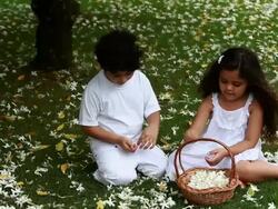 Boy and a girl picking flowers in a garden  Stock Footage