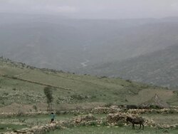 Green landscape with stone enclosures Stock Footage