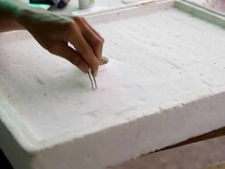 Selection of hydroponic vegetable seeds. Stock Footage