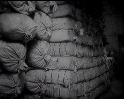 INVASION MATERIAL - News Clip