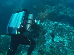 Rebreather Diver films Marble Ray, Costa Rica, Pacific Ocean  Stock Footage