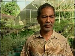 Philippine farmer promotes bio farming News Clip
