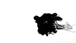 Black ink curls and expands in liquid. Stock Footage