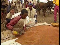 ETHIOPIA: THREAT OF FAMINE OVERSHADOWS COUNTRY News Clip