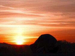 HD: Muslim Man Prostrates Stock Footage