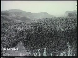 1942: OWEN STANLEY RANGE: PAPUA NEW GUINEA: WS PAN (L) Owen Stanley mountains w/ thick trees, forest. Instructional Video