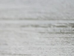 CU PAN Shot of single white egg with quail egg / London, United Kingdom  Stock Footage