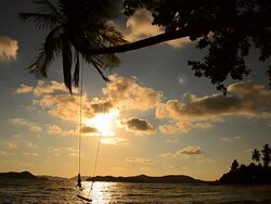 Beach on Tropical Island with Empty Swing at Sunset Stock Footage