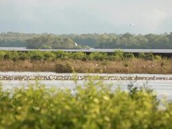 Paisaje - CiÃ©naga Stock Footage