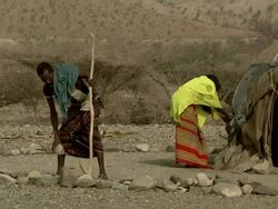 Afar woman and man tidy area around straw hut Stock Footage