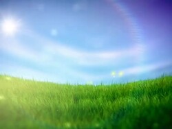 Summer freedom Stock Footage