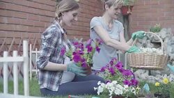 4K: Homosexual Couple Gardening In A Backyard. Stock Footage