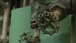 CLEAN : Foreigners drawn to the secrets of Japans News Clip