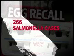 Hundreds of people have been sickened in a salmonella outbreak linked to eggs in three states and possibly more, and health officials on Wednesday dramatically expanded a recall to 380 million eggs. The AP's John Mone reports. News Clip