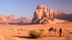 Wadi Rum Bedouin handler with camel, Jordan, Middle East Stock Footage