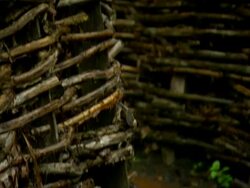 CU TU World War One trench / Bayernwald Trenches, Belgium Stock Footage