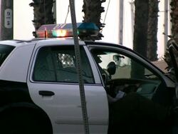 Cop in Police Car at Crime Scene Stock Footage