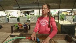 Israeli girl finds ancient Egyptian amulet Instructional Video