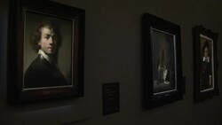 CLEAN : Girl with a Pearl Earring to go on display News Clip