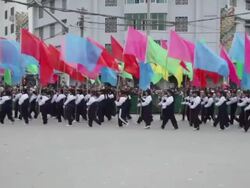 MS PAN Student carry flags in traditional festive folk celebration or carnival during chinese spring festival  AUDIO  / xi'an, shaanxi, china Stock Footage