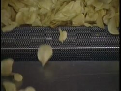 CU Potato chips falling off conveyor belt Stock Footage