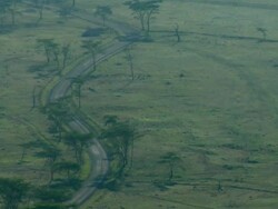 WS, HA, Winding road through fields, Lake Nakuru National Park, Rift Valley, Kenya Stock Footage