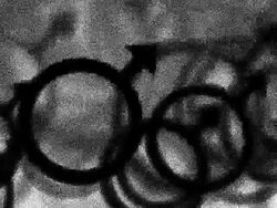 MALE : white back - (LOOP) Stock Footage