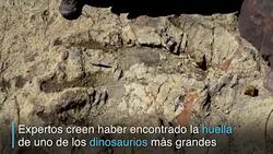 CLEAN : El Parque Jurasico boliviano News Clip