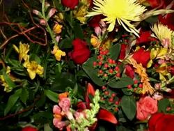 Floral Arrangement Stock Footage