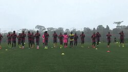 CLEAN : Africa Cup of Nations: Cameroon News Clip