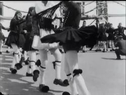 EGG CRACKING - News Clip