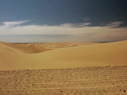 Sand Dunes Stock Footage