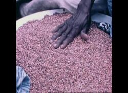 RR7423B UN: OPERATION EARTHWATCH News Clip