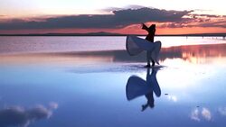 whirling dervishes Stock Footage