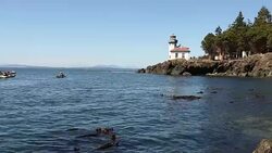 The lighthouse at Lime Kiln State Park on San Juan Island on a sunny day. Stock Footage