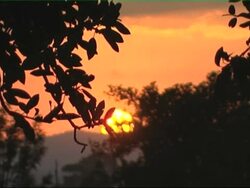 African daybreak Stock Footage