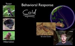 Response to External Environments Instructional Video