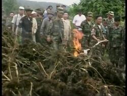 CAMBODIA: PM HUN SEN TAKES HARD LINE ON CRIME News Clip