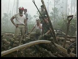 INDONESIA: CRACK DOWN ON COMPANIES SUSPECTED OF LIGHTING FIRES News Clip