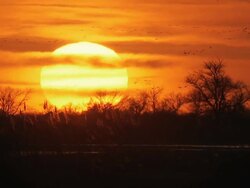 CU SLO MO Shot of Sunset over river plate, winter trees / Kearney, Nebraska, United States Stock Footage