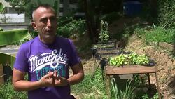 VOICED: Venezuela, sembrar entre cemento News Clip