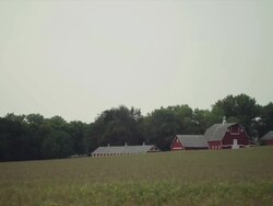 Drive by of red barns among corn fields Stock Footage