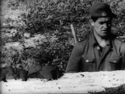 Building the Berlin Wall Stock Footage