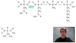 Proteins Instructional Video