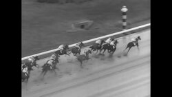 Garden State Stakes Horse Race Stock Footage