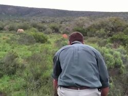 iPhone Documentary Stock Footage