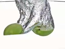 CU SLO MO Granny Smith Apples (malus domestica) entering water / Vieux Pont, Normandy, France  Stock Footage