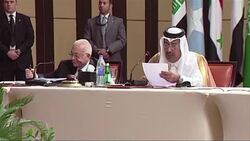 CLEAN: Arab ministers give Syria mission green light to continue News Clip