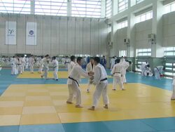 MS PAN Shot of Judo team training / Seoul, Seoul, South Korea Stock Footage
