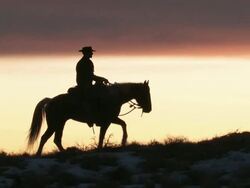 TS Cowboy riding on horse in silhouette at sunset / Shell, Wyoming, United States Stock Footage